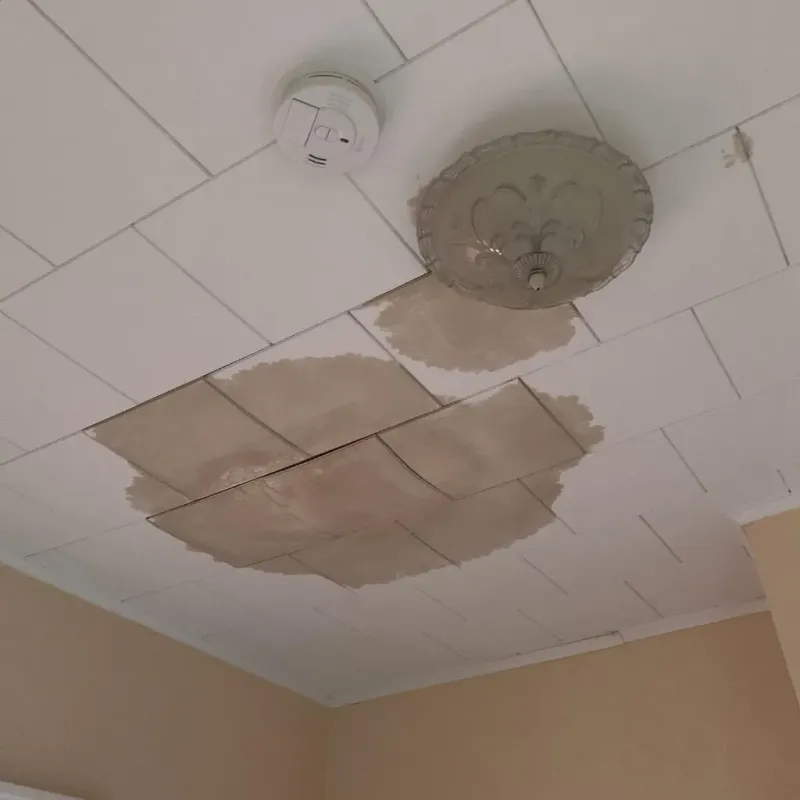 Ceiling Water Damage Repair in Coopersburg, PA