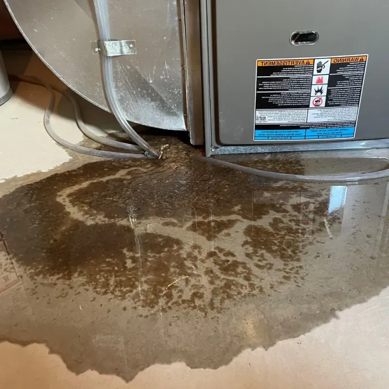 Pipe Burst and Leak Restoration in Coopersburg, PA
