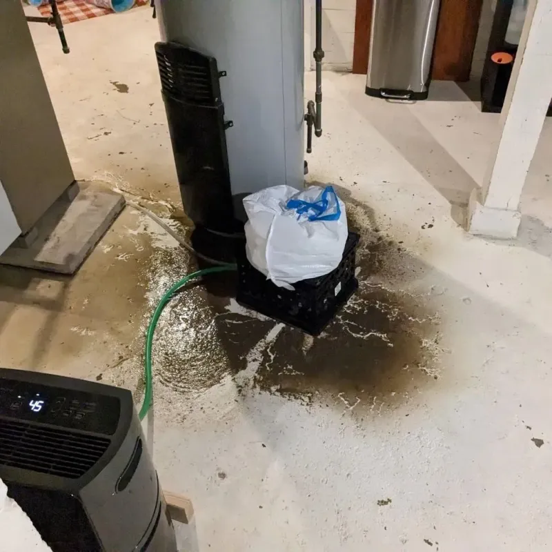 Sewage Backup Cleanup Service in Coopersburg, PA